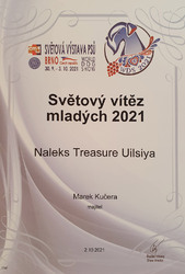 diplom wds siya
