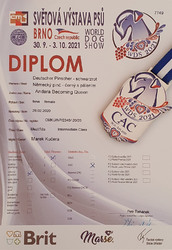 wds andy diplom